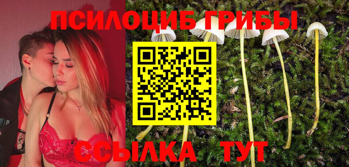 Видное  Галлюциногенные грибы Psilocybine cubensis  Вход с VPN 