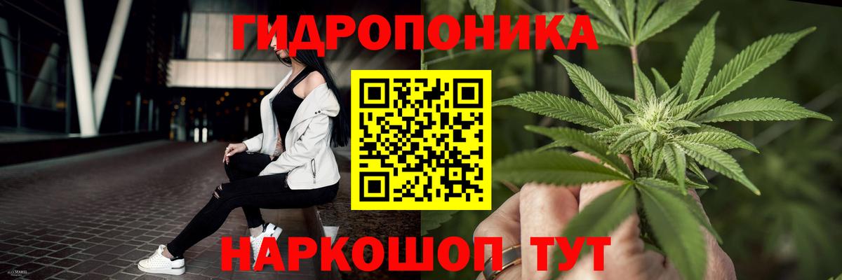 Марихуана конопля Видное